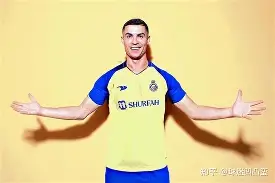 前尤文图斯中场尤戈维奇在接受采访时 前尤文图斯中场尤戈维奇在接受采访时