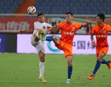 德甲赛程吃紧，山东泰山冲刺阶段完成体检，话题不断，细节决定成败的简单介绍